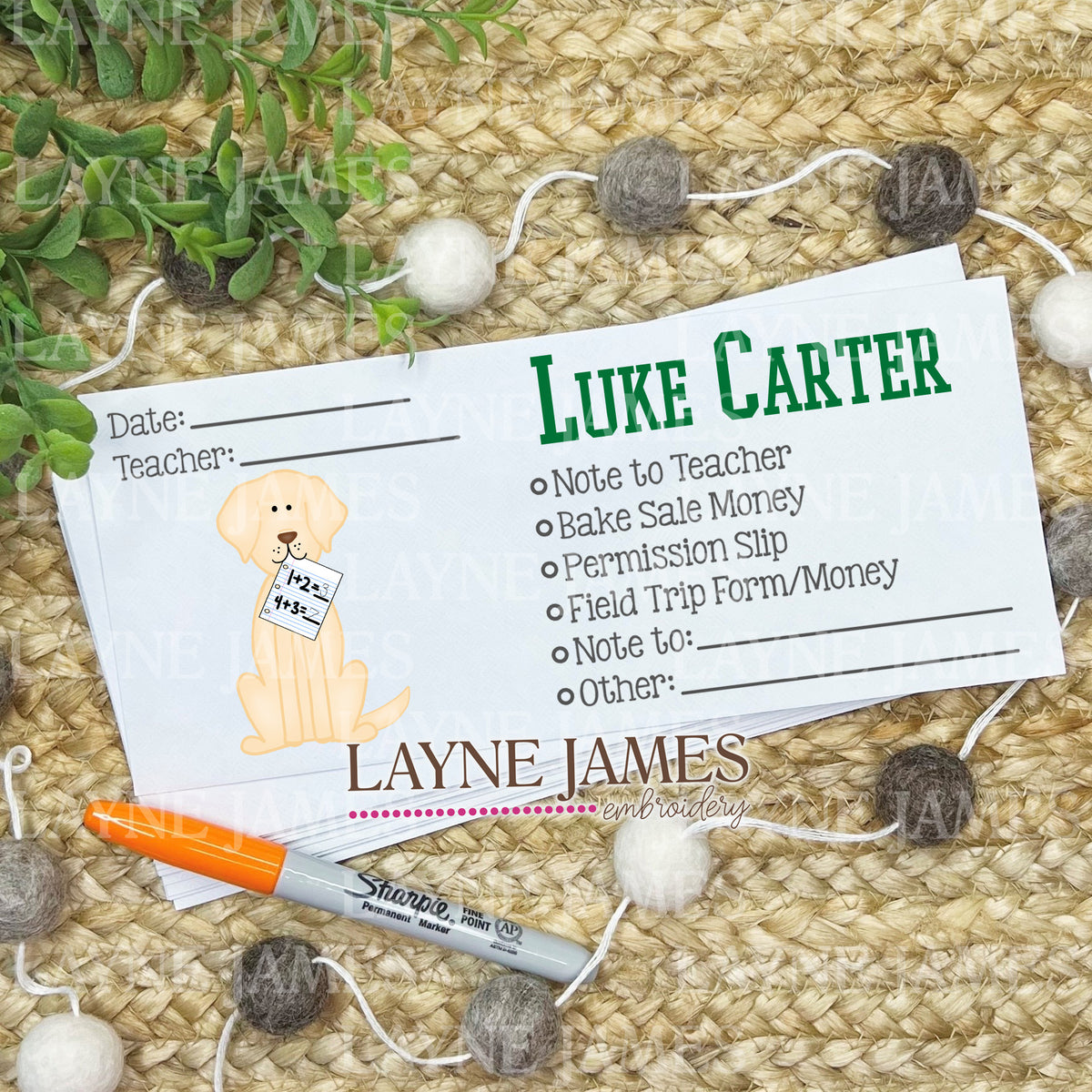 School Envelope Set